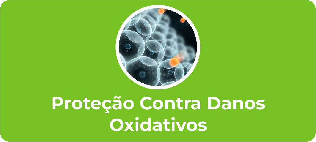 proteção contra danos oxidativos